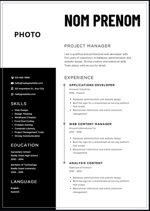 Modèle CV Professionnel - Mise en Page Épurée à Télécharger