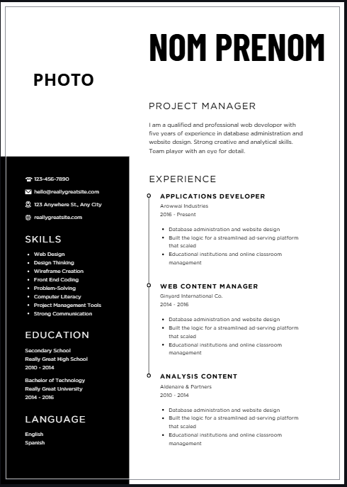 Modèle CV Professionnel - Mise en Page Épurée à Télécharger