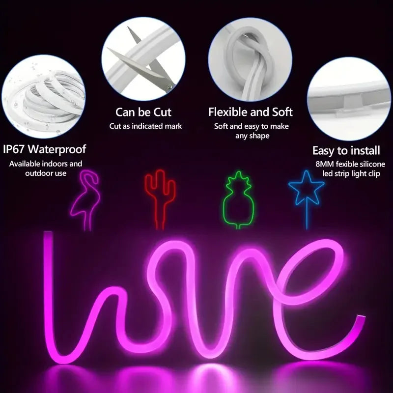 Bande LED Neon RGB Intelligente (5-30m)