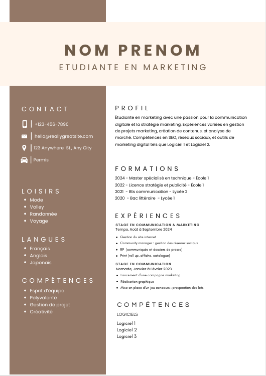 Modèle CV Professionnel - Mise en Page Épurée à Télécharger